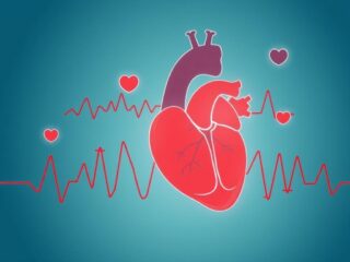 Путь к сердцу без лишних рисков: практическая профилактика сердечно-сосудистых заболеваний